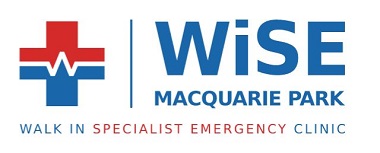 WiSE medical clinic logo